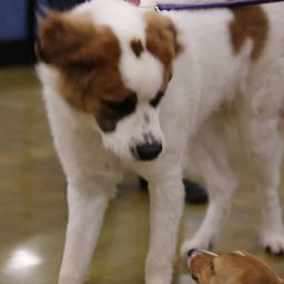 photograph by PeterW